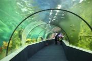 Découverte le plus grand aquarium du Vietnam
