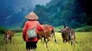Voyage Vietnam : Ce qui va changer en 2017 !