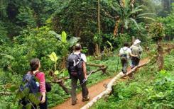 Le Vietnam, la destination de la prochaine Grande Marche Le Vietnam, la destination de la prochaine Grande Marche