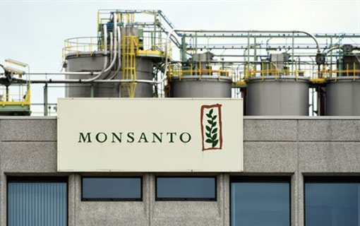 Monsanto accusée d’«écocide» par un tribunal international