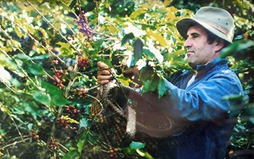 Pierre Morère, ce Français cultive un café d’exception dans les montagnes au-dessus de Dalat au Vietnam