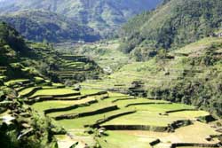 Vietnam : les Paiements pour Services Environnementaux généralisés