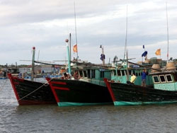 Coopération France-Vietnam dans la pêche en mer