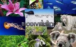 L’ambassade de France au Vietnam célèbre la biodiversité L’ambassade de France au Vietnam célèbre la biodiversité