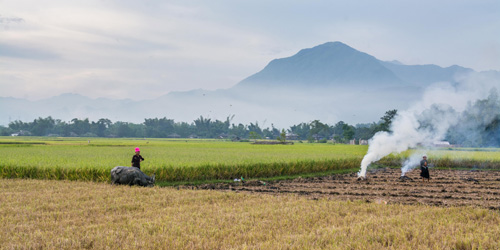 Top des 4 raisons pourquoi vous devriez visiter le Vietnam en 2016