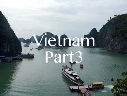 Voyage au Vietnam : Part 3 (Hanoi, Baie d’Halong, Sapa)