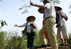 Le Cirad au Vietnam : 20 ans de partenariat et un nouvel accord Le Cirad au Vietnam : 20 ans de partenariat et un nouvel accord