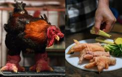 Vietnam : les pattes de «poulet dragon», un mets très apprécié au Nouvel an vietnamien