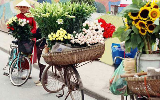 Vietnam : toute la magie colorée des paniers portés par les vendeurs à bicyclette