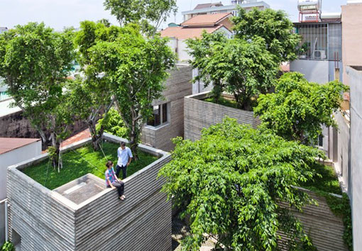 Des arbres sur des maisons écologiques à Ho-Chi-Minh-Ville au Vietnam