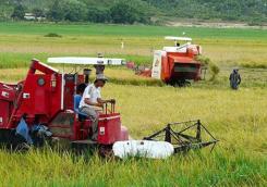 Vietnam : Moderniser le secteur agricole Vietnam : Moderniser le secteur agricole
