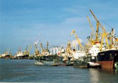 Au nord du Vietnam, le projet démesuré du port de Haiphong Au nord du Vietnam, le projet démesuré du port de Haiphong