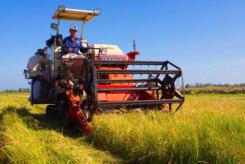 Vietnam : Amélioration de la productivité agricole pour assurer la sécurité alimentaire Vietnam : Amélioration de la productivité agricole pour assurer la sécurité alimentaire
