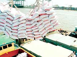 Forte hausse des prix du riz vietnamien