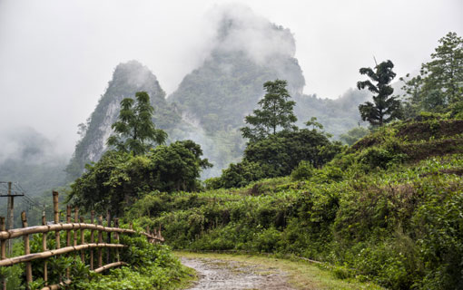 Randonnée sur les sentiers mystérieux du Vietnam