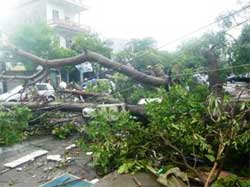 Un typhon fait neuf morts au Vietnam