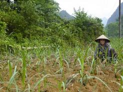 Vivre à la campagne : entre difficultés et espoirs Vivre à la campagne : entre difficultés et espoirs