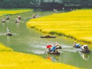 Voyage Vietnam Pas Cher Voyage Vietnam Pas Cher