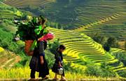 Nord du Vietnam - sapa Nord du Vietnam - sapa