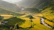 BON PÉRIODE POUR VISITER LE VIETNAM, LE LAOS ET LE CAMBODGE BON PÉRIODE POUR VISITER LE VIETNAM, LE LAOS ET LE CAMBODGE