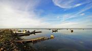 LA LAGUNE TAM GIANG LA LAGUNE TAM GIANG