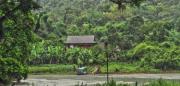 Les Tày au Vietnam Les Tày au Vietnam
