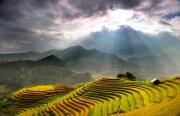La semaine Culturelle et Touristique des rizières en terrasses de Mu Cang Chai 2014