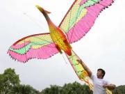 Festival international des cerfs-volants à Vung Tau