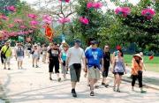 Le Vietnam délivrera l’e-visa aux touristes étrangers Le Vietnam délivrera l’e-visa aux touristes étrangers