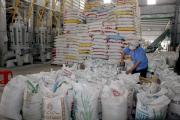 La Thaïlande et le Vietnam exportent 50% du riz dans le monde