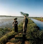 50 ans plus tard, il raconte: l'incroyable histoire de cette photo d'un prisonnier US au Vietnam (anglais) 50 ans plus tard, il raconte: l'incroyable histoire de cette photo d'un prisonnier US au Vietnam (anglais)