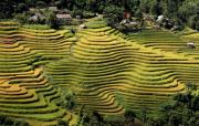 Semaine culturelle et touristique des rizières en terrasse de Hoàng Su Phi à Hà Giang du 24 au 26 septembre 2015