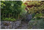 Colloque sur ‘La méditation et les écoles bouddhiques de méditation’ le dimanche 4 juin 2017 à l’Institut Bouddhique TRUC LÂM, Villebon s/ Yvette (91) Colloque sur ‘La méditation et les écoles bouddhiques de méditation’ le dimanche 4 juin 2017 à l’Institut Bouddhique TRUC LÂM, Villebon s/ Yvette (91)