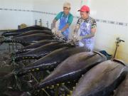 Le Vietnam va mieux gérer la pêche du thon