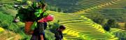 Pourquoi voyagez-vous au Vietnam? Pourquoi voyagez-vous au Vietnam?