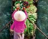 Marché flottant - un trait typique dans la culture du Mekong
