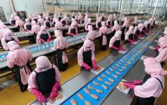 Poulet : le « plus grand projet d’investissement de CP Vietnam » Poulet : le « plus grand projet d’investissement de CP Vietnam »