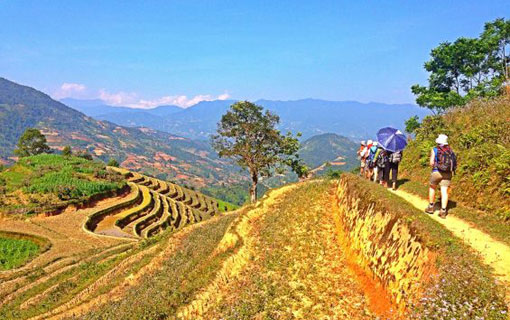 Vietnam, un voyage qui a du sens Vietnam, un voyage qui a du sens