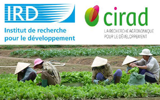 Une mission conjointe de l’IRD et du Cirad au Vietnam pour renforcer la coopération scientifique Une mission conjointe de l’IRD et du Cirad au Vietnam pour renforcer la coopération scientifique