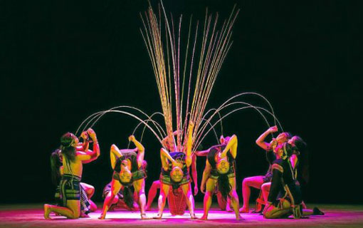 Le Quartz (à Brest, département du Finistère). Cirque du Vietnam au menu Le Quartz (à Brest, département du Finistère). Cirque du Vietnam au menu