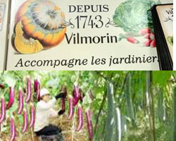 Vilmorin : finalise l'acquisition de Tropdicorp au Vietnam Vilmorin : finalise l'acquisition de Tropdicorp au Vietnam