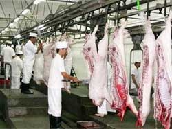 Vietnam : Projet de construction d’abattoirs plus modernes à Hanoi