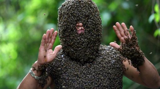 Vietnam: l'homme qui bourdonnait à l'oreille des abeilles Vietnam: l'homme qui bourdonnait à l'oreille des abeilles