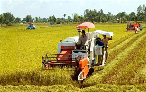 Adapter l’agriculture au changement climatique