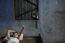 Au Vietnam, l'"agent orange" répandu par les Américains continue de tuer Au Vietnam, l'"agent orange" répandu par les Américains continue de tuer