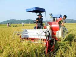 Accord de coopération entre l’Arabie saoudite et le Vietnam Accord de coopération entre l’Arabie saoudite et le Vietnam