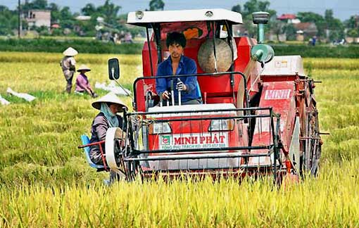 Vietnam : Vers une agriculture plus moderne Vietnam : Vers une agriculture plus moderne