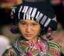 Vietnam, Expositions et Spectacles Vietnam, Expositions et Spectacles