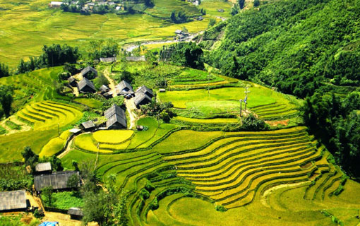 Vietnam : l’authenticité du Nord Vietnam : l’authenticité du Nord