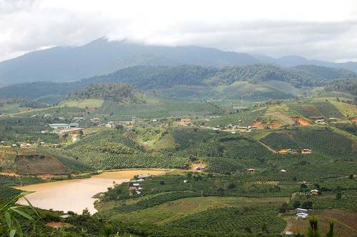 Buon Me Thuot, spécial café